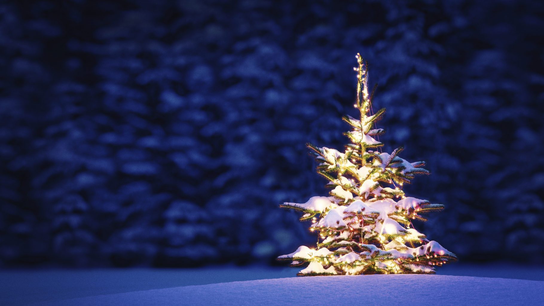 Christmas tree complications for trucking capacity