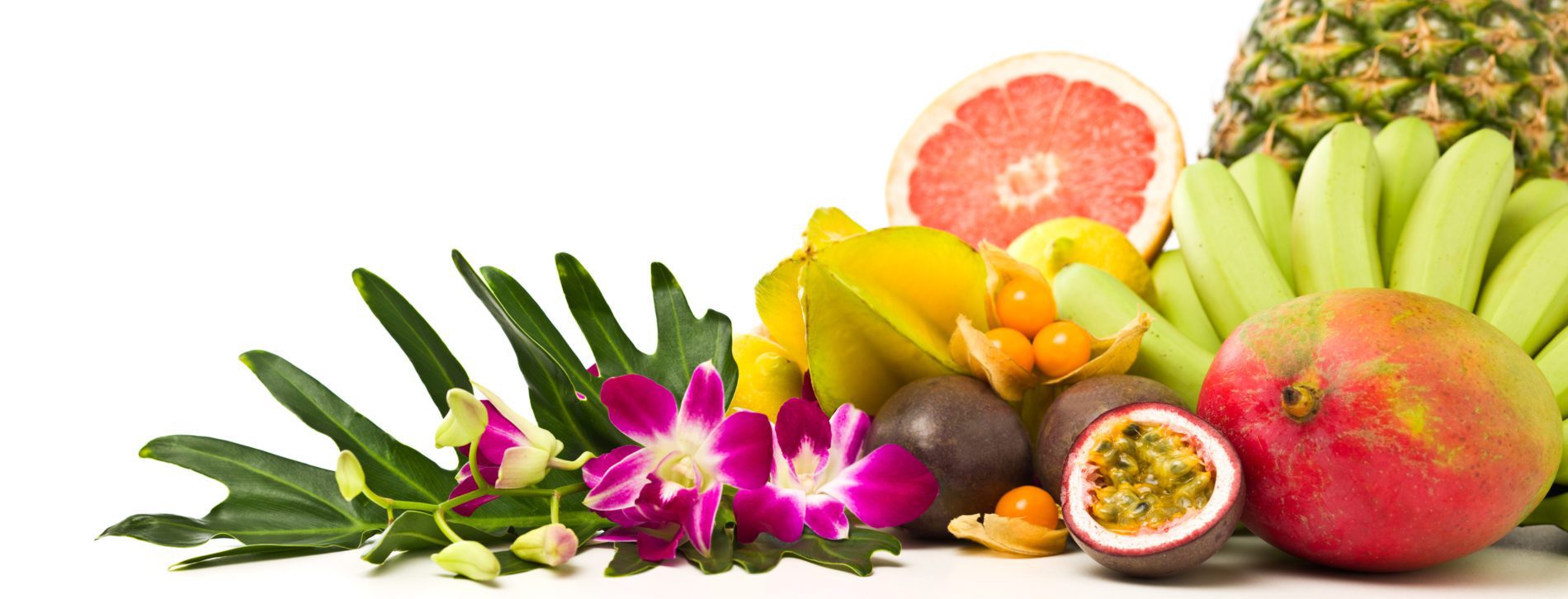 Irradiated Fruit in Hawaii