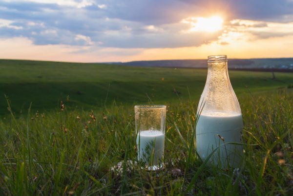 Bottle and glass with milk on the grass against a backdrop of picturesque green meadows with flowers at sunset summer day. Fresh organic food. Natural energy.