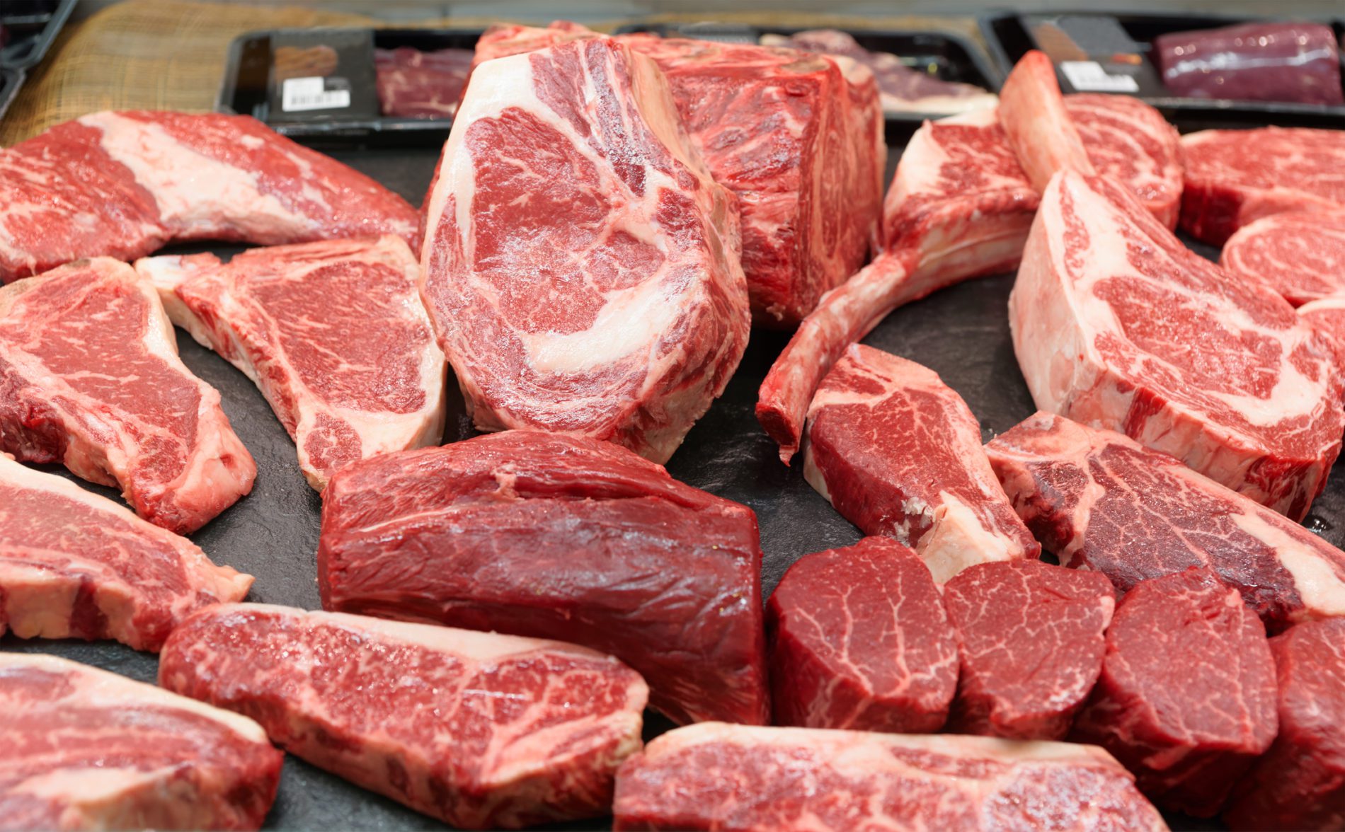 Grounded Beef: Protein Exports Delayed