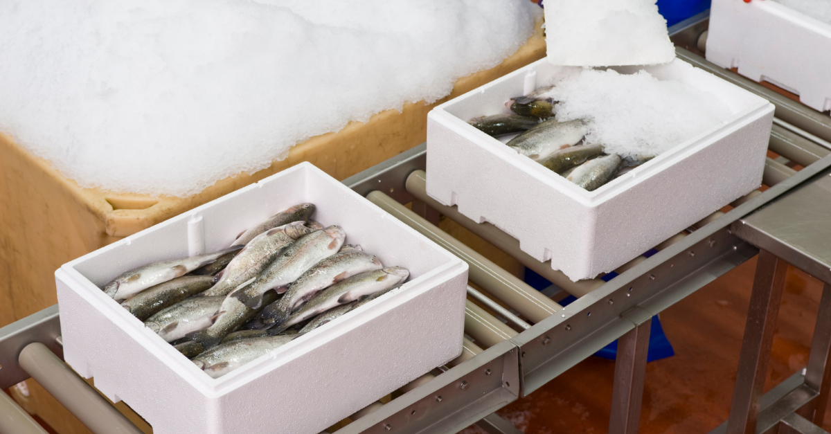 Designing an Effective Cold Chain: Best Practices for Resilience