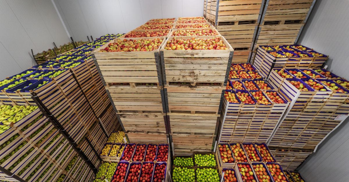 Risk Management for Perishables: Spoilage, Temperature Excursions & Insurance Claims