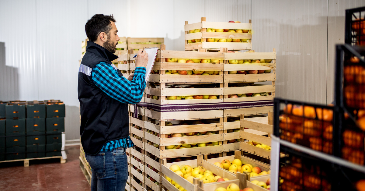 Cool Chain Delivering Fresh Around the World: How CFI Keeps Perishables Moving Safely and Seamlessly