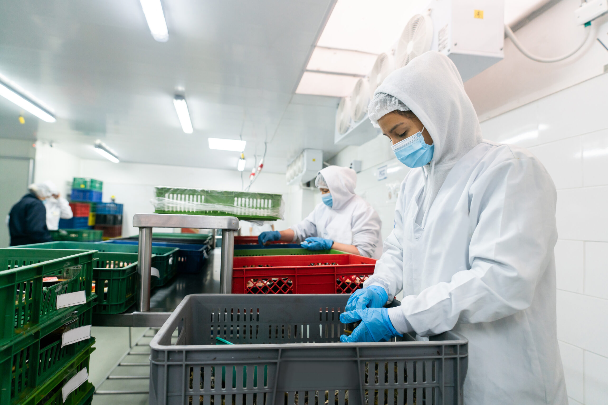 Regulatory and Food Safety Compliance in Perishables Logistics